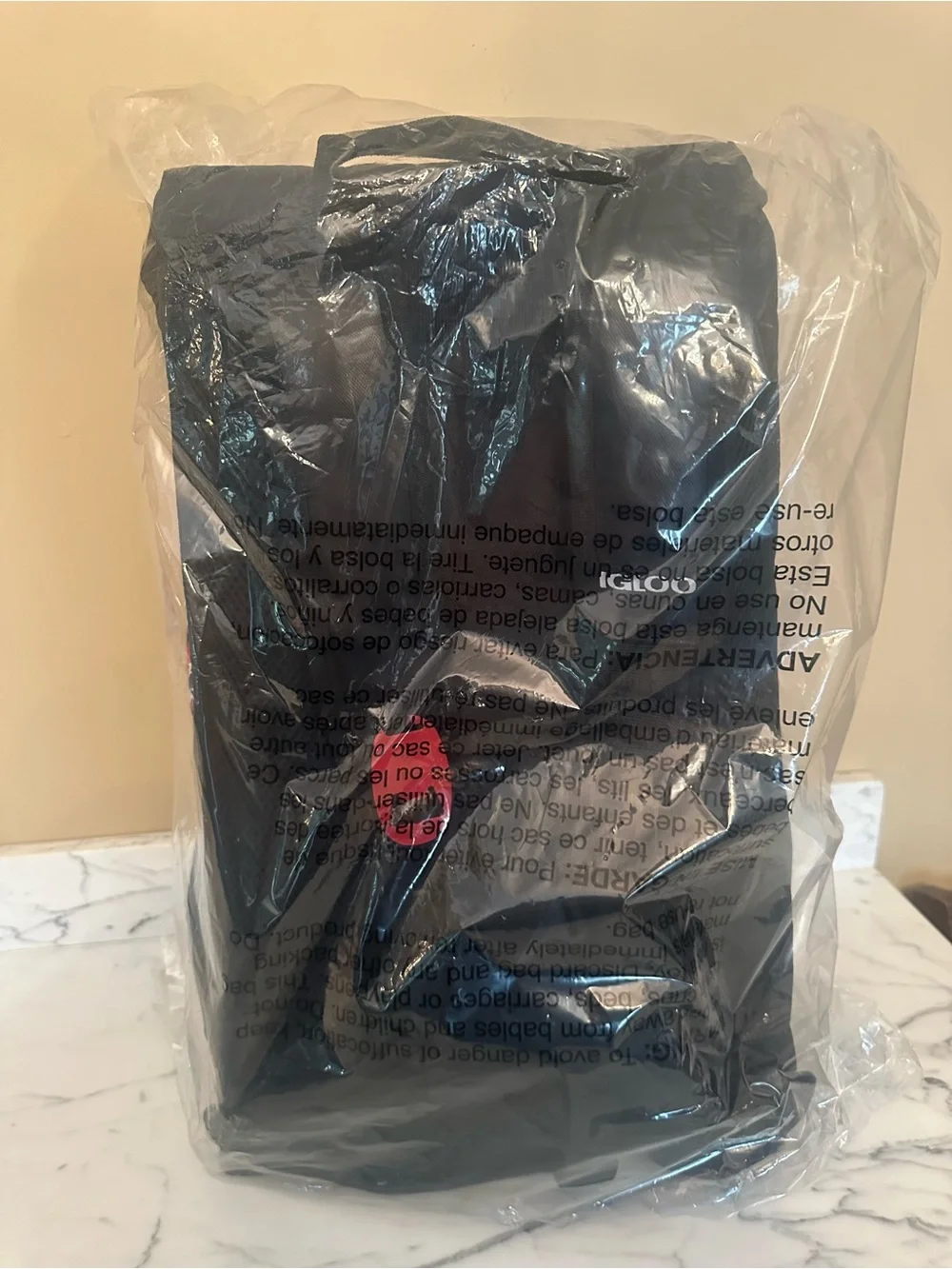 Igloo Black Backpack with Red and Blue Lightning Skull Patch